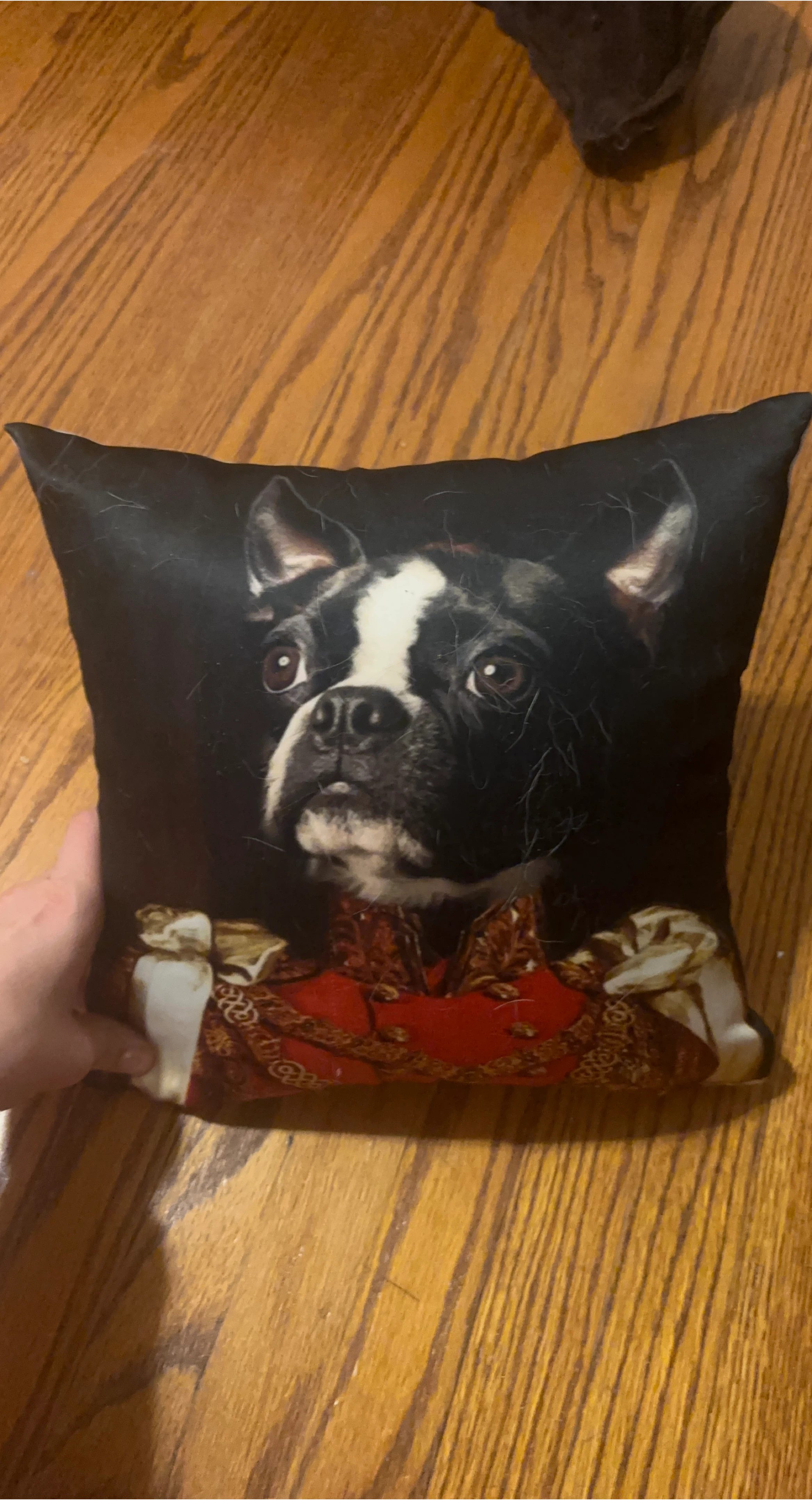Dog Print Throw Pillow image indicator(1)