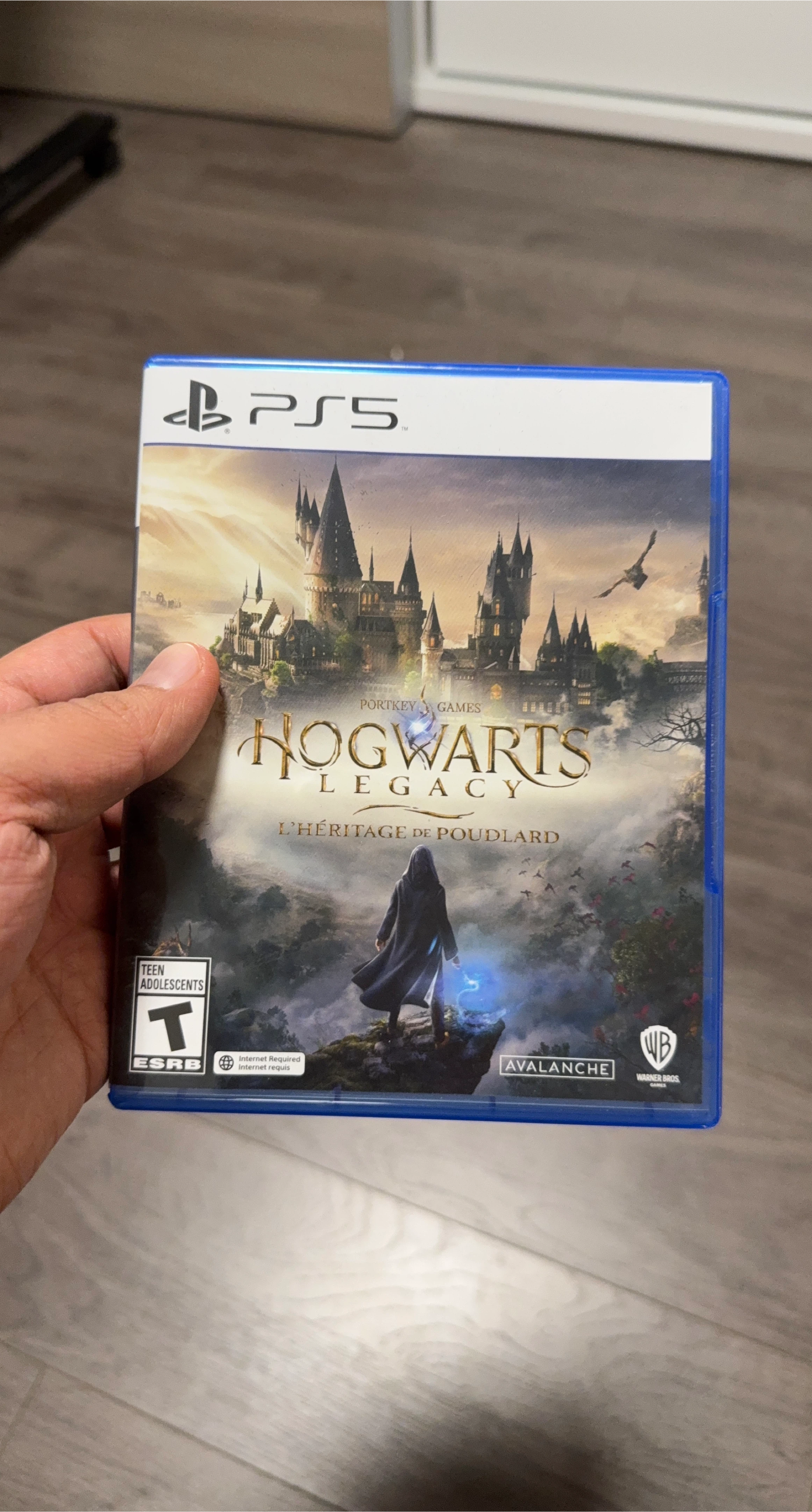 Hogwarts Legacy PS5 Game