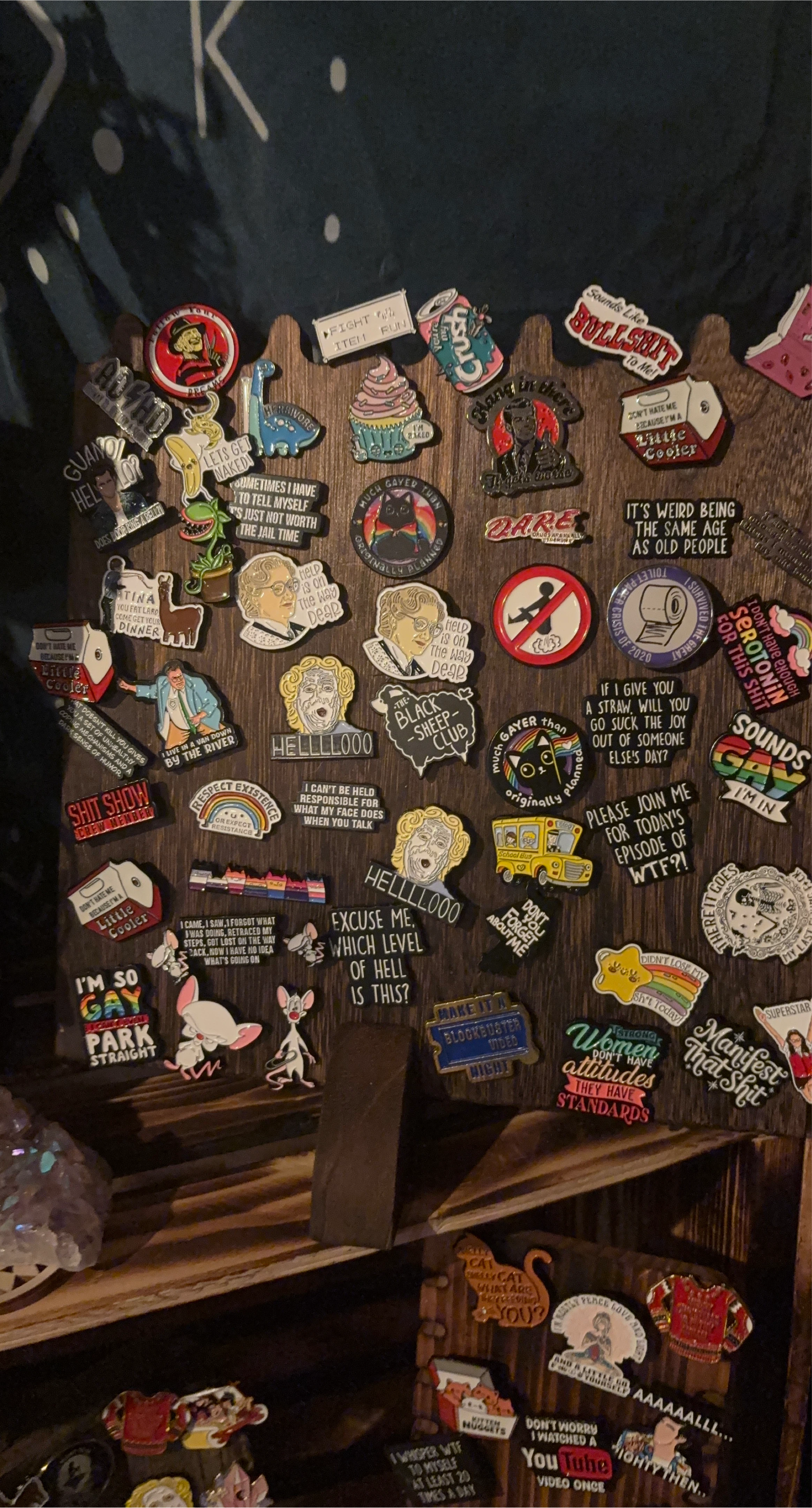 Enamel Pins - Funny, Quirky, and Unique!