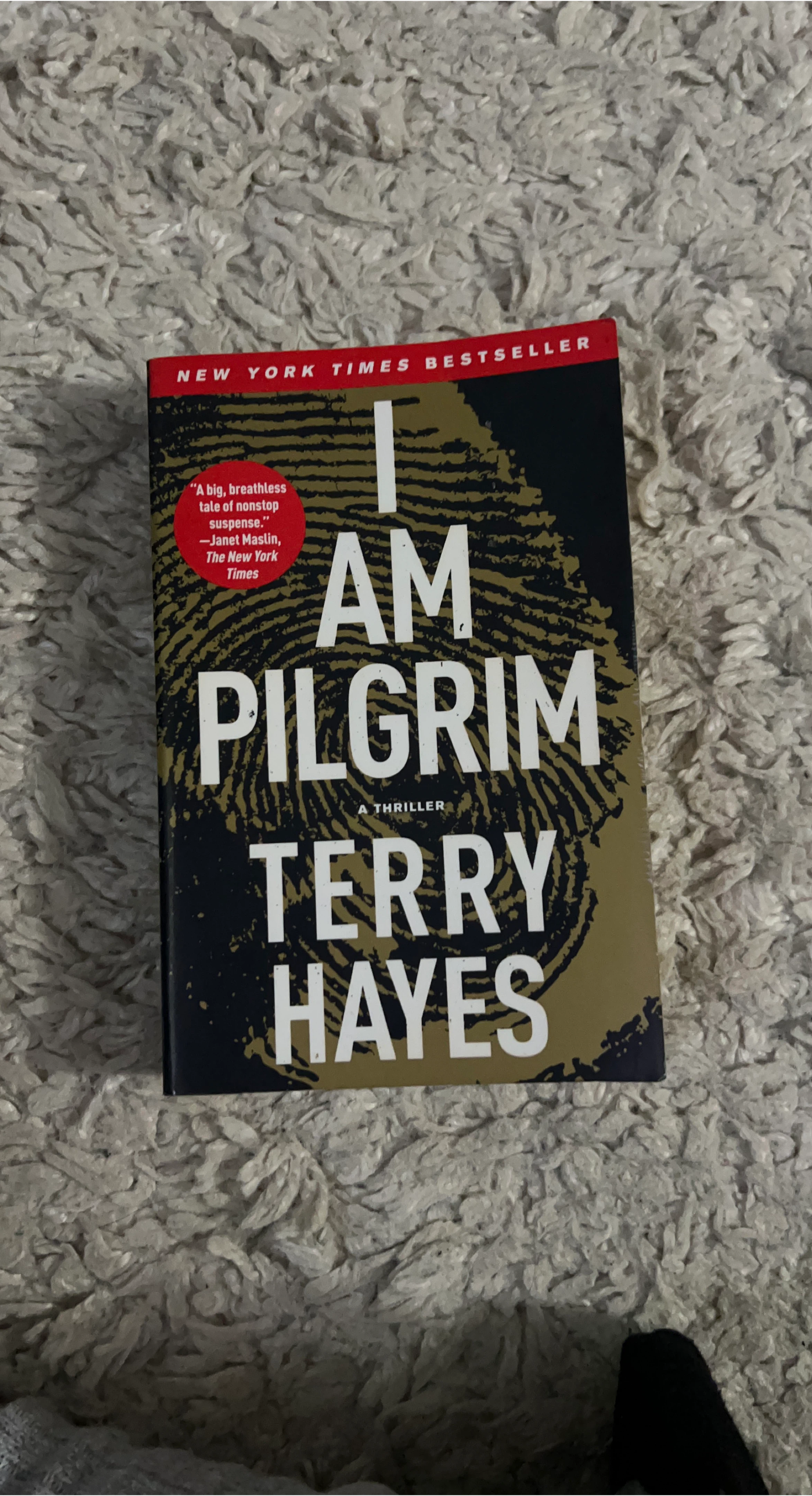 I Am Pilgrim by Terry Hayes