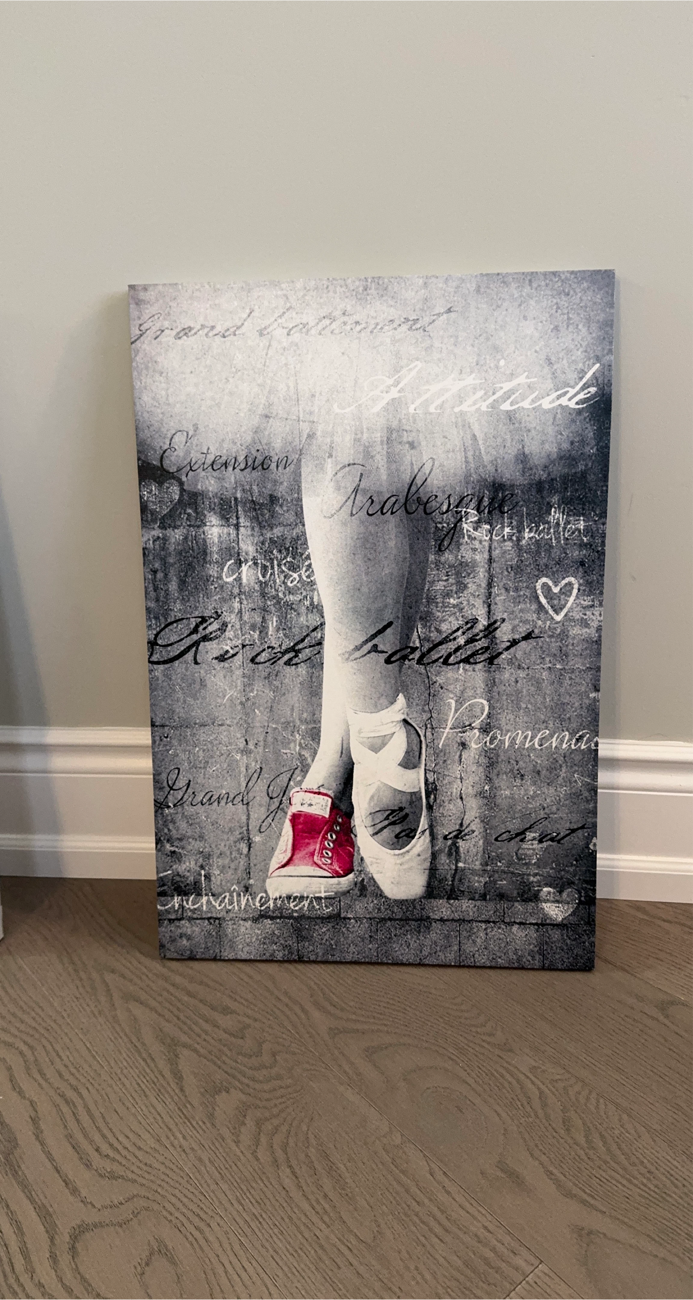Ballet Canvas Wall Art