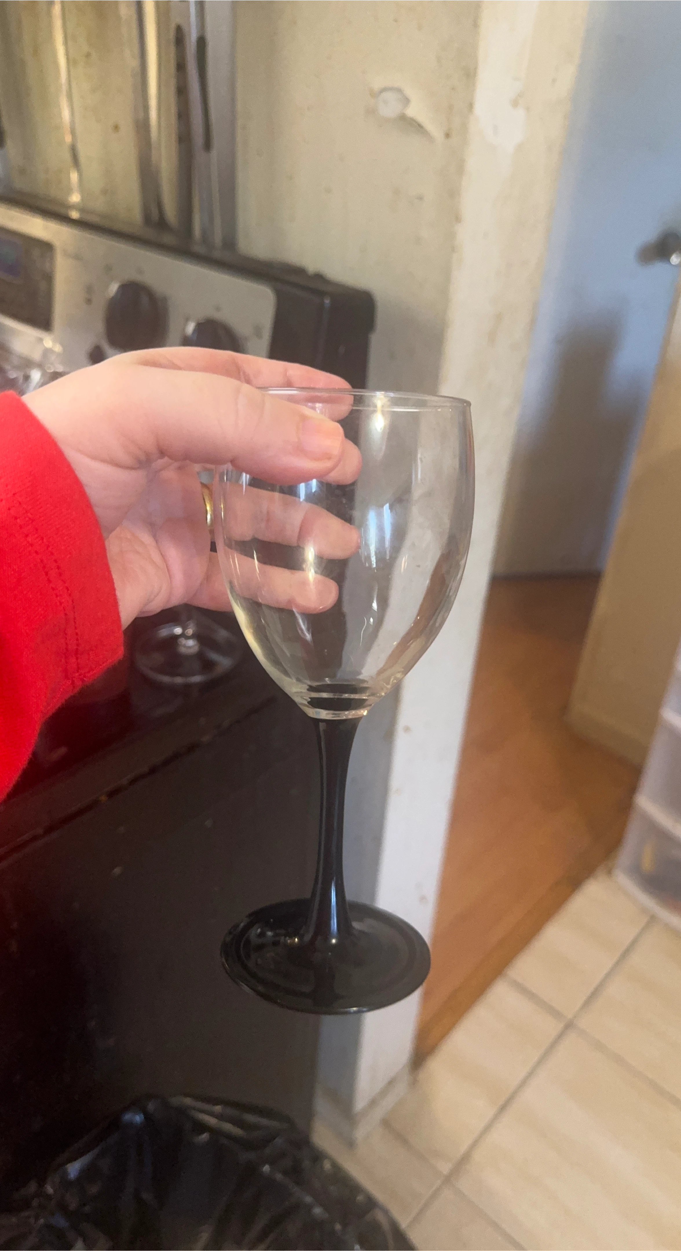 Set of 2 Wine Glass with Black Stem