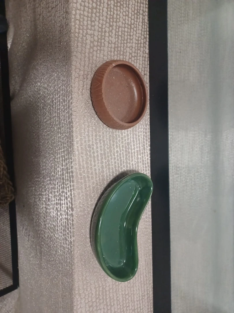 Terrarium Dishes - Brown and Green