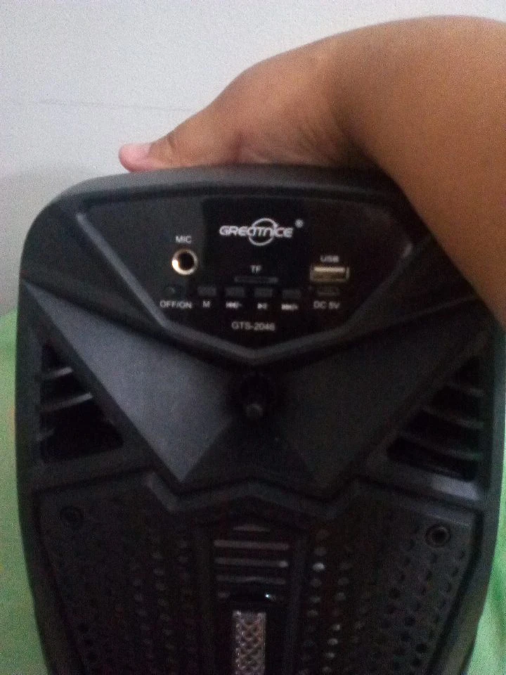 Greateice GTS-2046 Portable Speaker