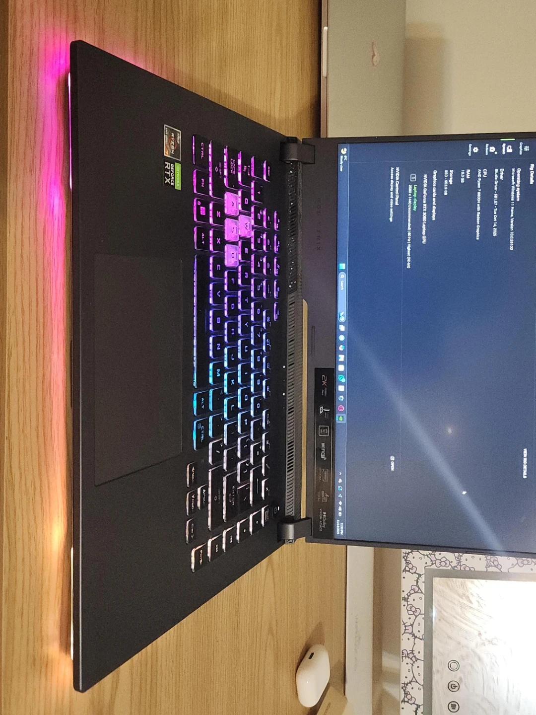 ASUS ROG Strix G513RM Gaming Laptop