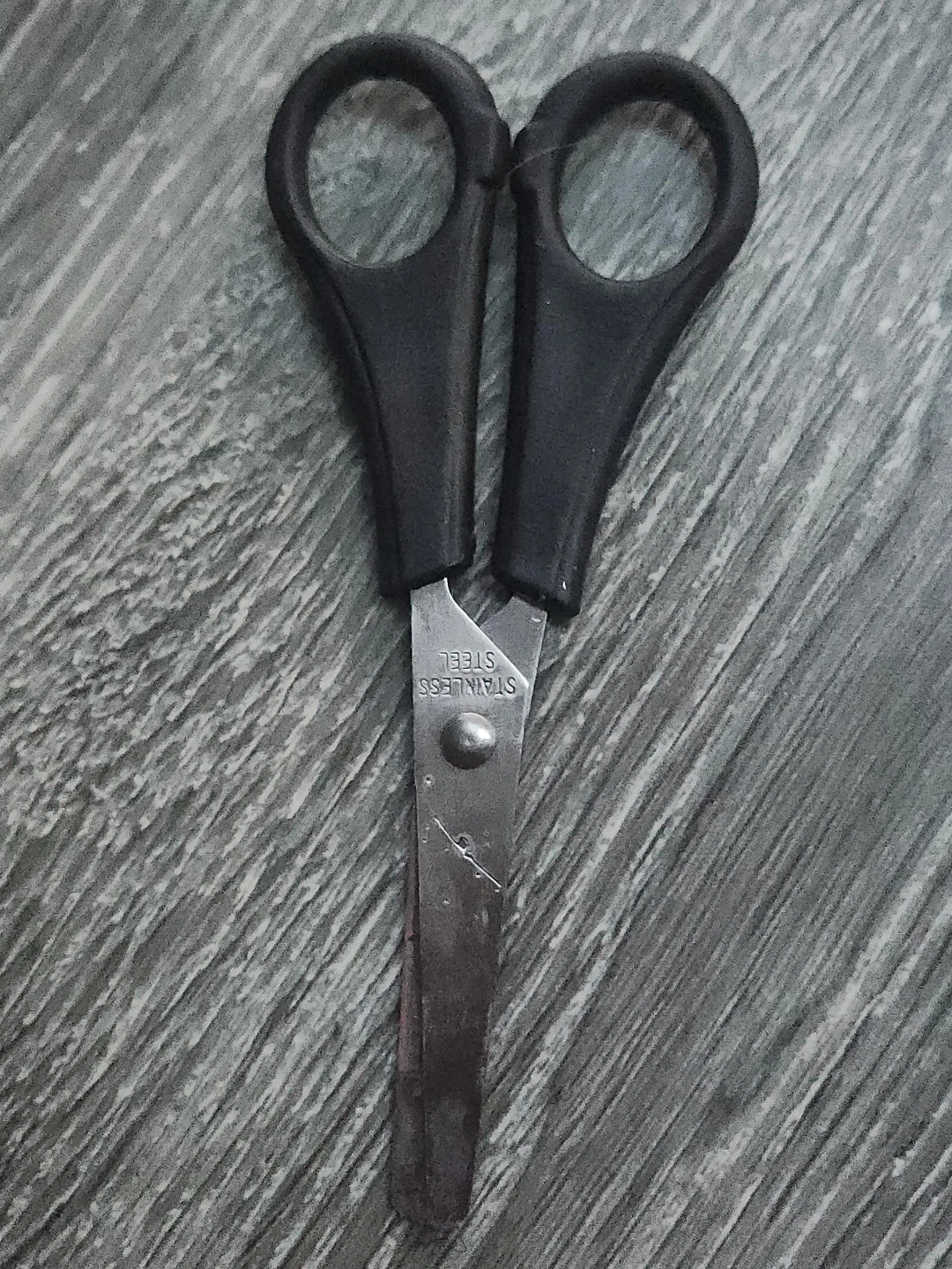Stainless Steel Scissors