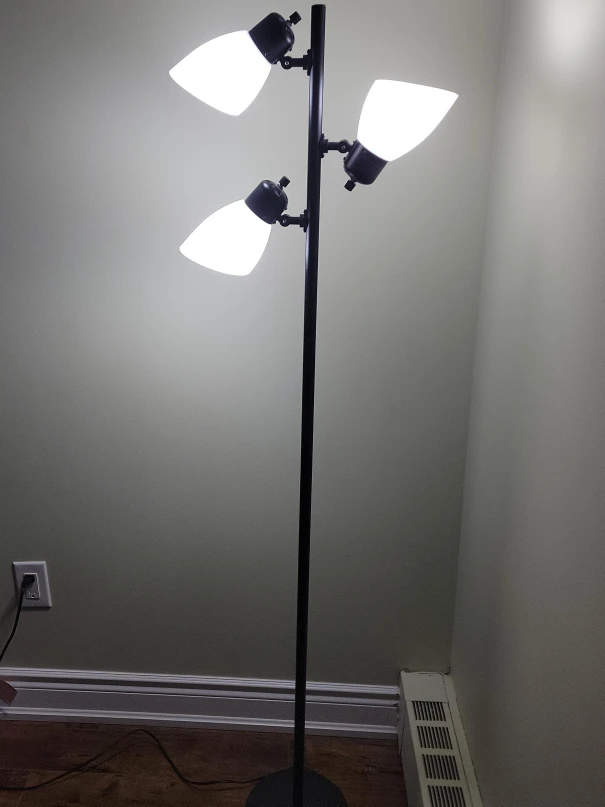 Black Floor Lamp with 3 Adjustable Lights