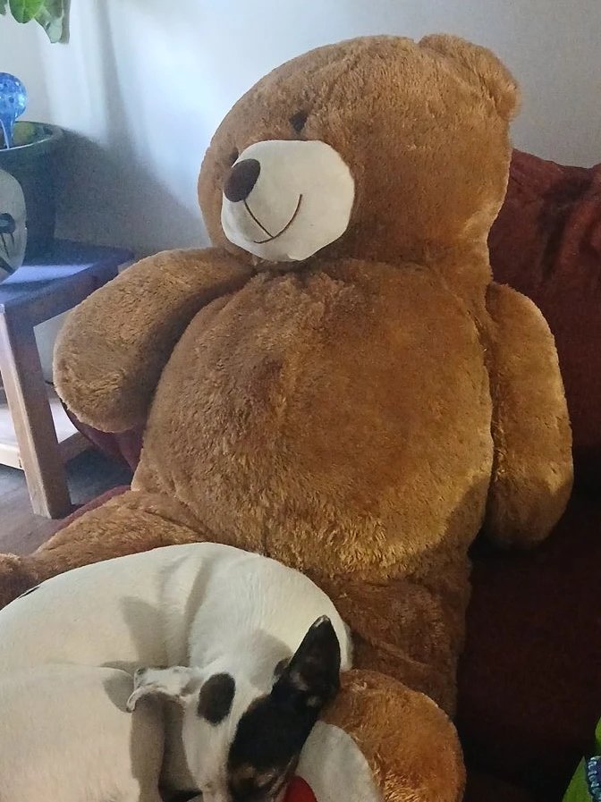 Giant Brown Teddy Bear