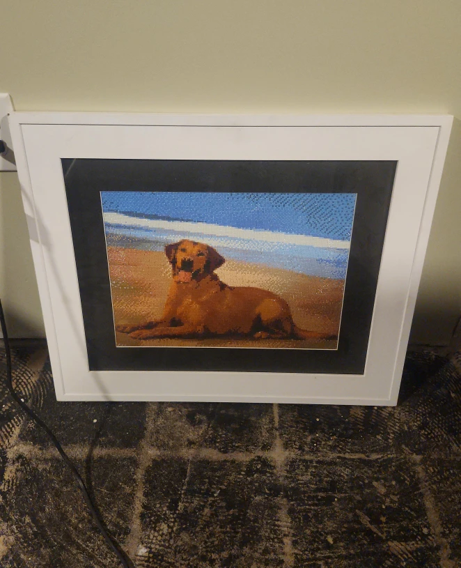 Diamond painting- dog on a beach