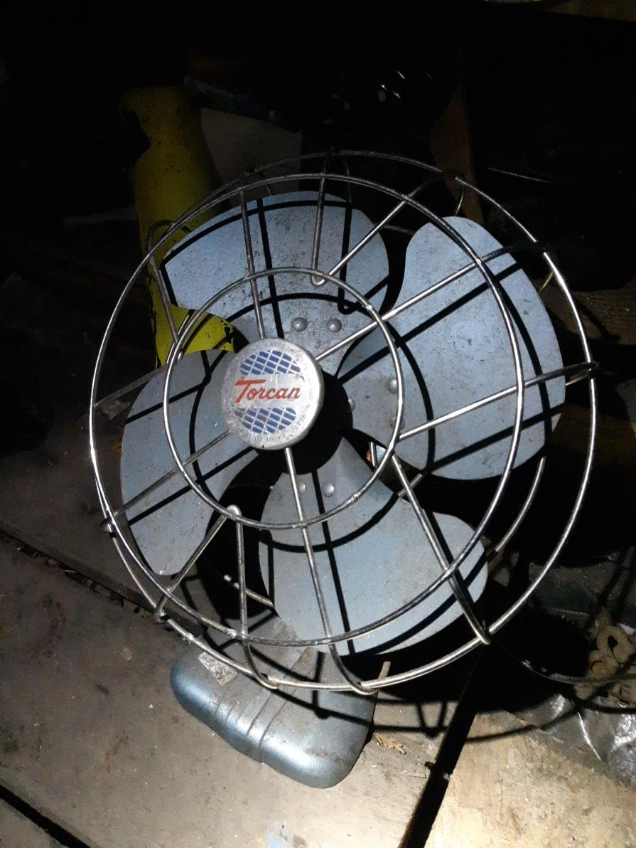 Torcan Vintage Fan🥕 thumbnail