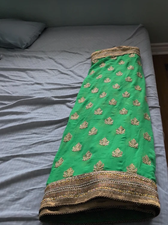 Green Saree with Gold Embroidery