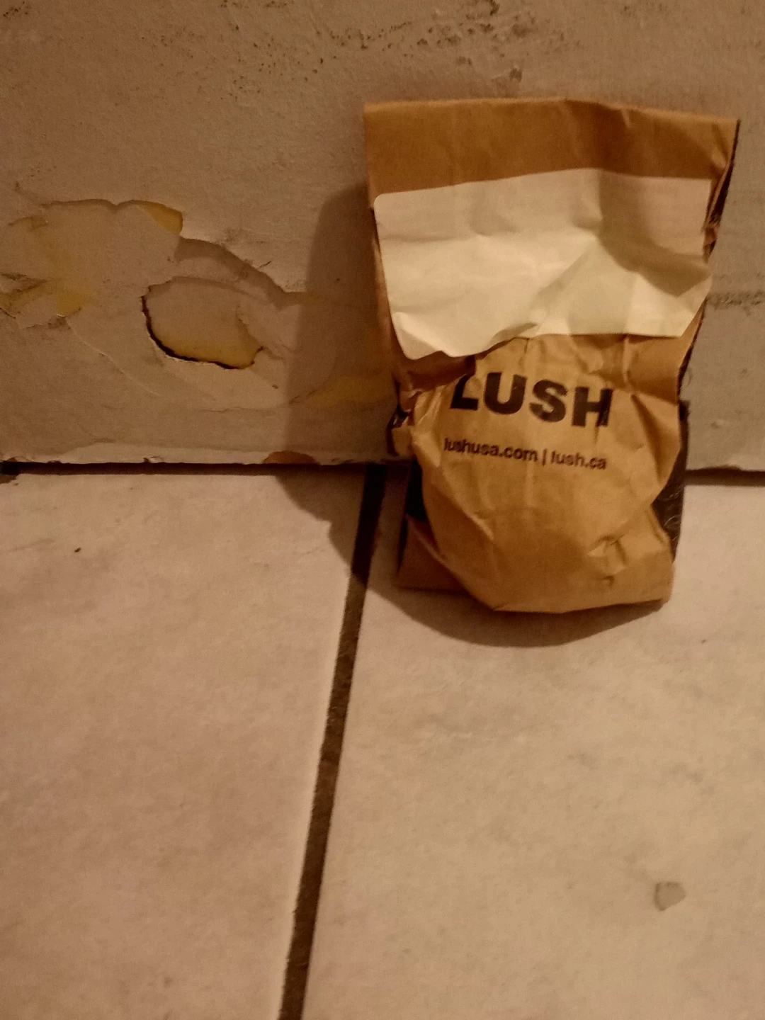 Lush Paper Bag