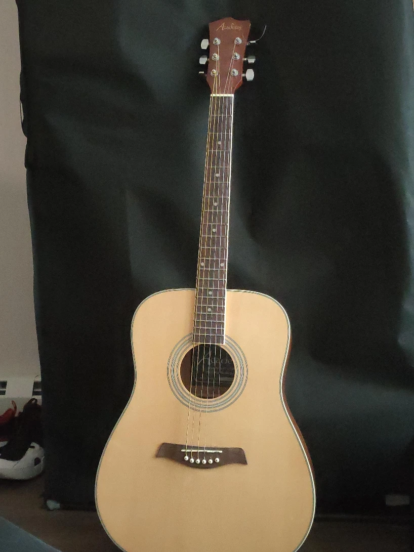 Avalon Acoustic Guitar