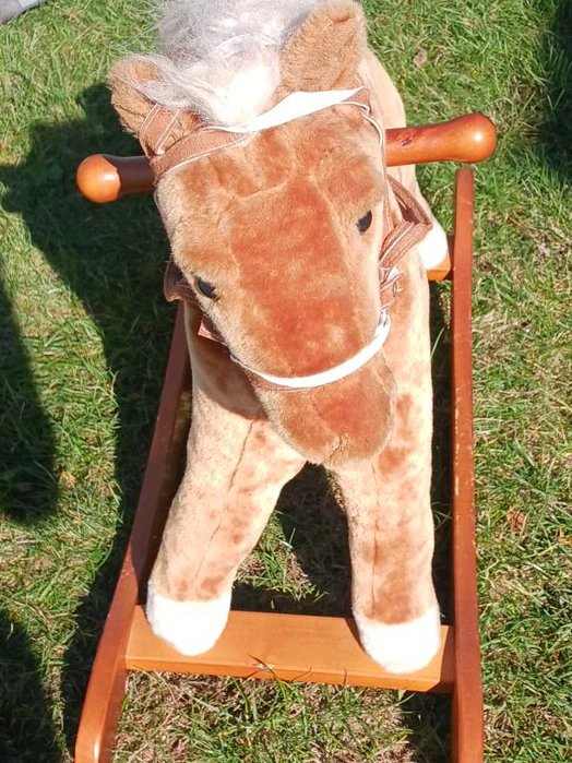 Rocking Horse thumbnail