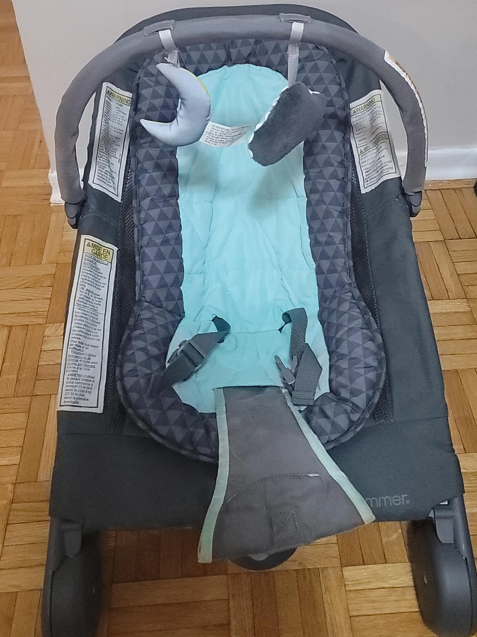 Summer Infant Baby Bouncer Seat