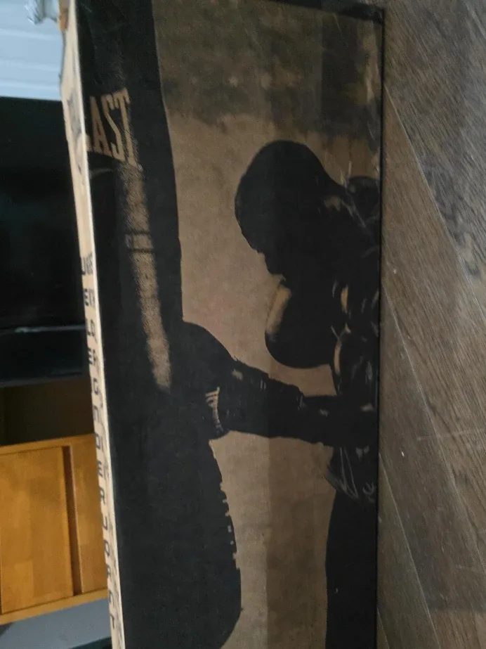 Everlast Punching Bag - New in Box