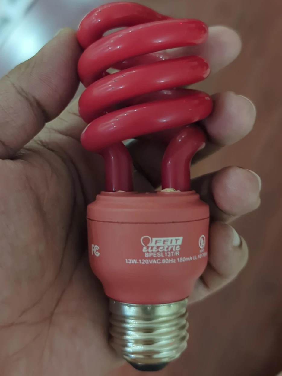Red Light Bulb