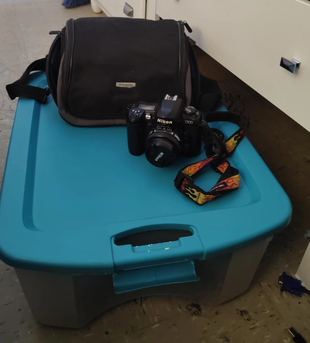 Nikon D100 Digital Camera with Bag