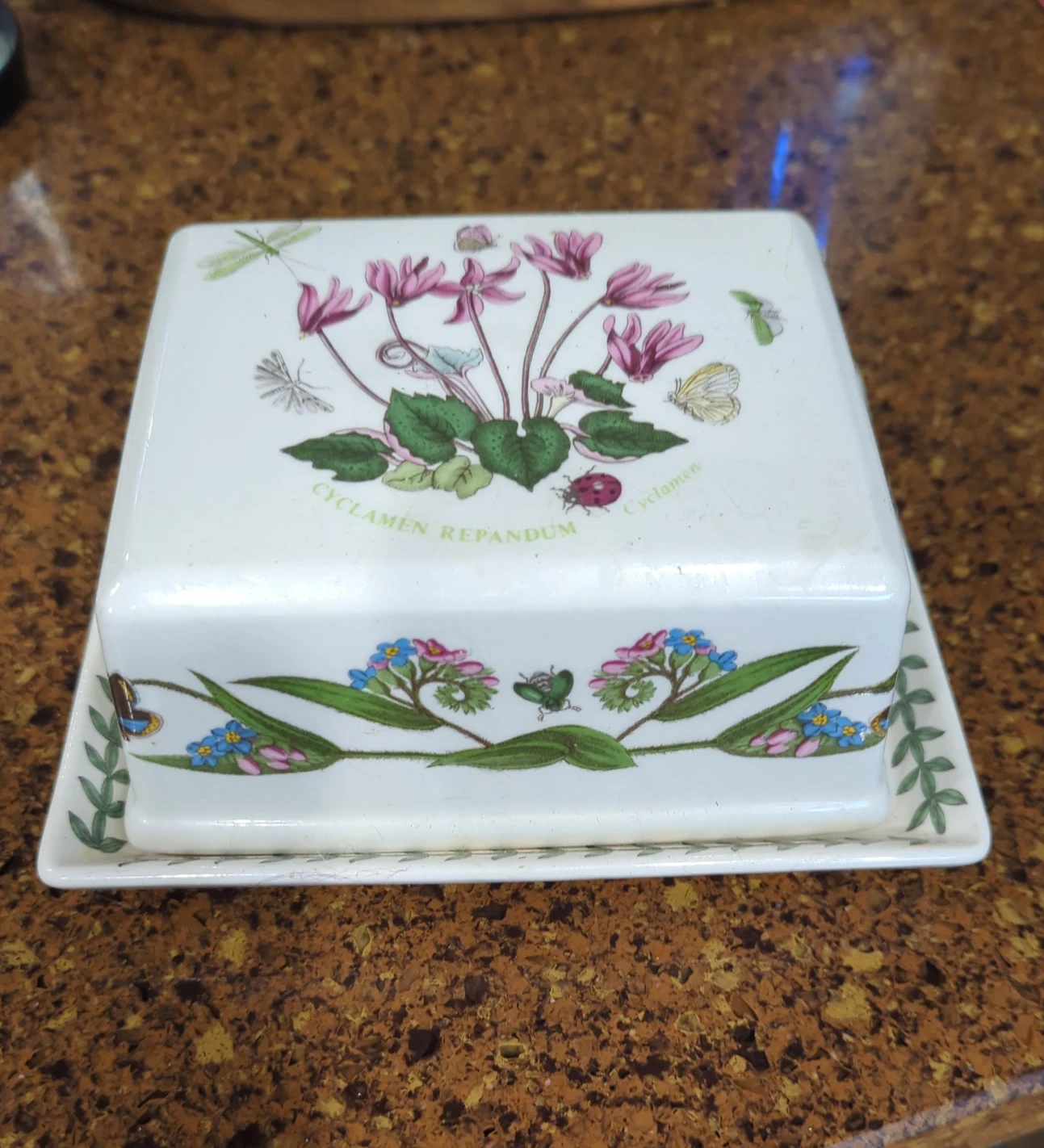 Portmeirion Botanic Garden Square Tray