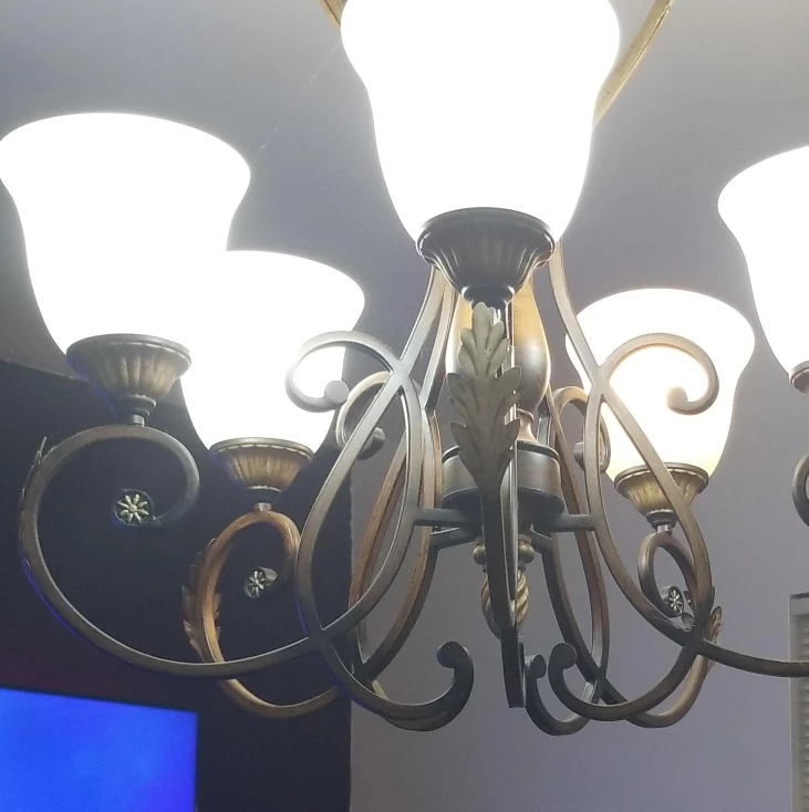 Chandelier with 5 Frosted Glass Shades