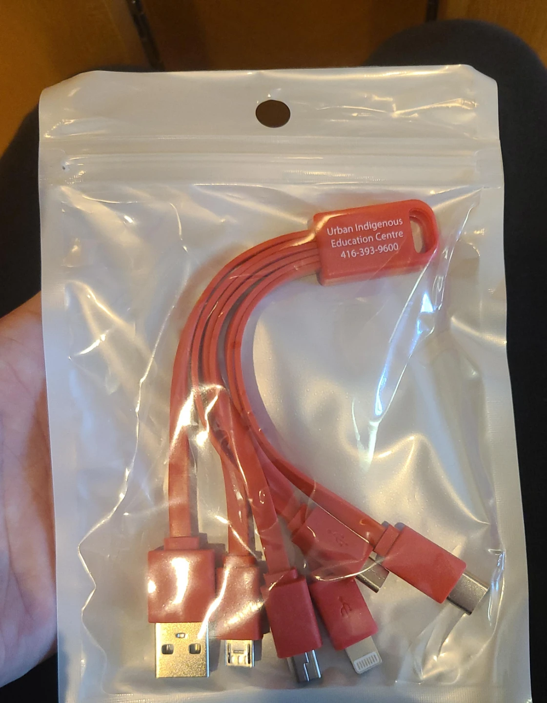 Urban Indigenous Education Centre Multi Charger - New