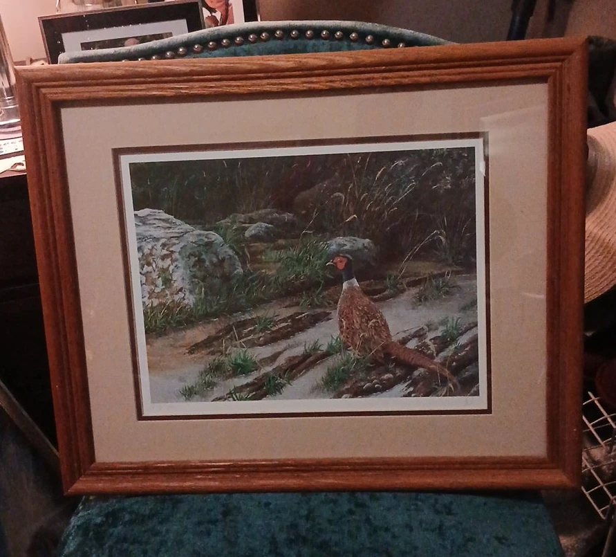 Framed Pheasant Art Print thumbnail