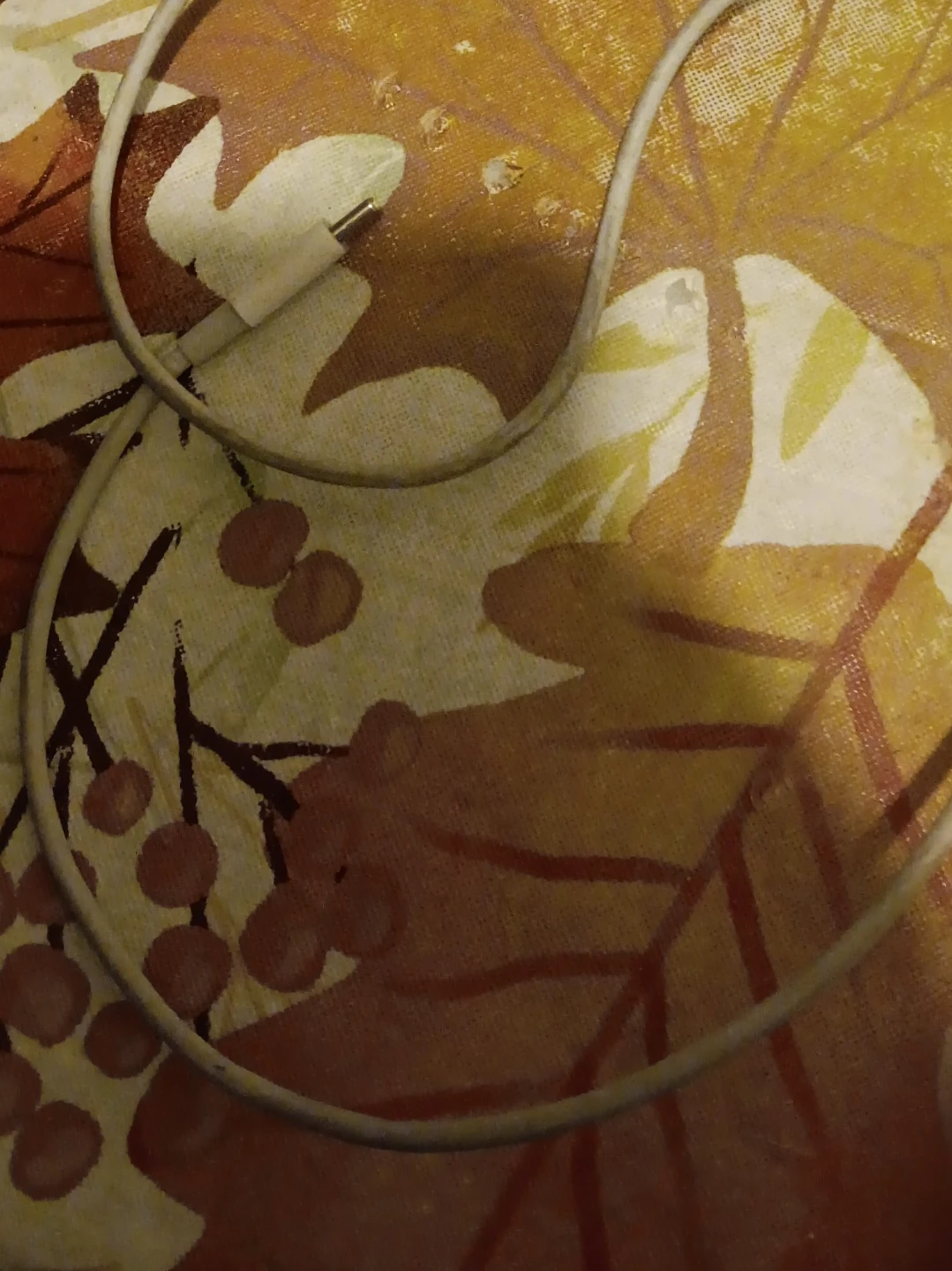 Apple charger image indicator(1)