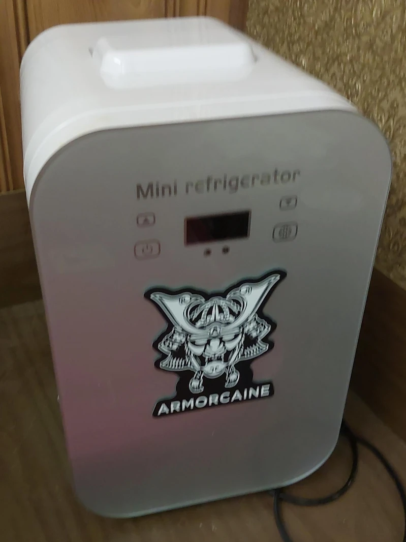 Mini Refrigerator - 8L Capacity