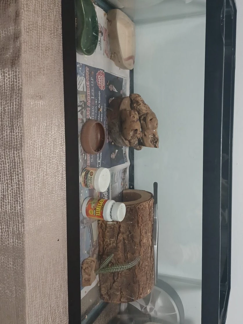 Reptile Habitat Accessories thumbnail