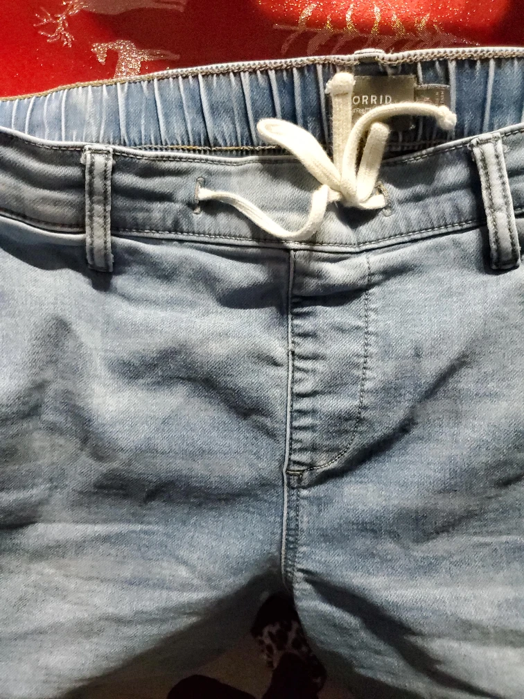 Torrid Denim Joggers