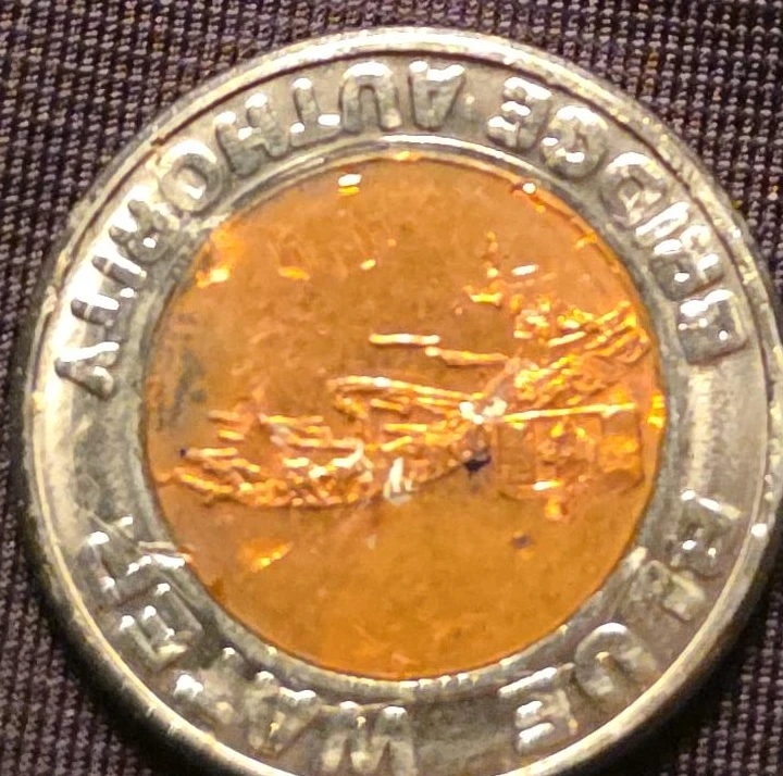 Blue Water Bridge Authority Token