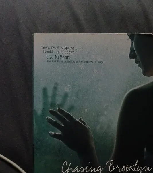 Chasing Brooklyn by Lisa Schroeder