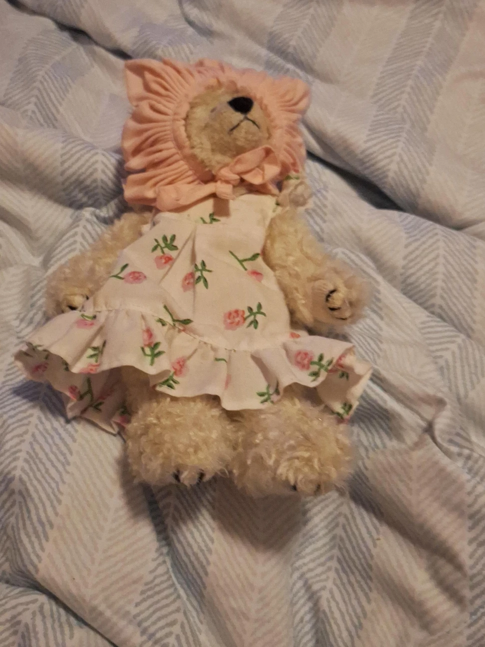 Cute Teddy Bear with Dress