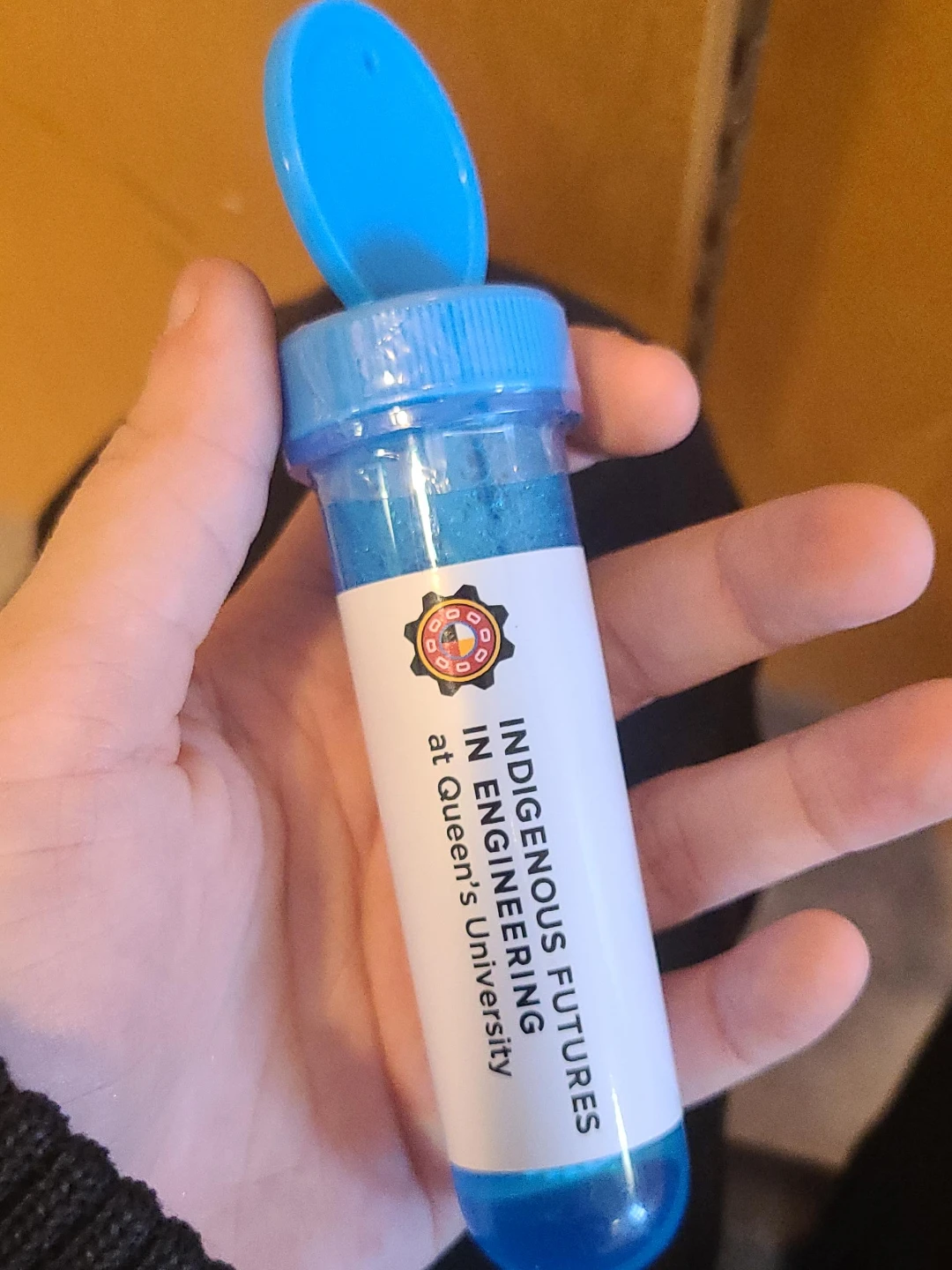 Indigenous Futures at Queen's University