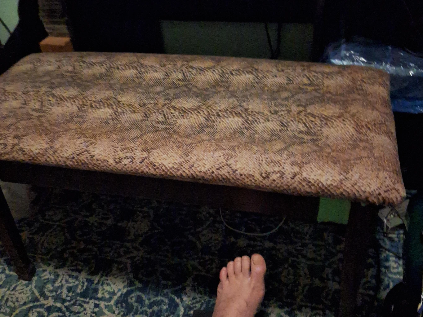 Upholstered Bench
