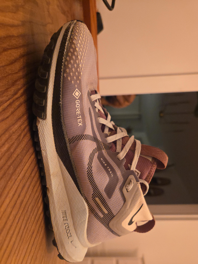 Nike Pegasus Trail 4 Gore-Tex Women's US 8 thumbnail