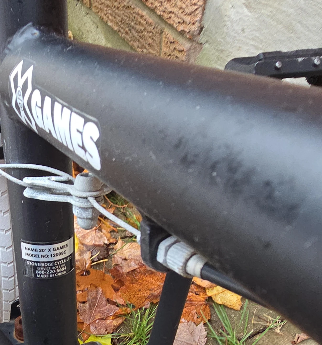 20" X Games BMX Bike - Model 12099C image indicator(2)