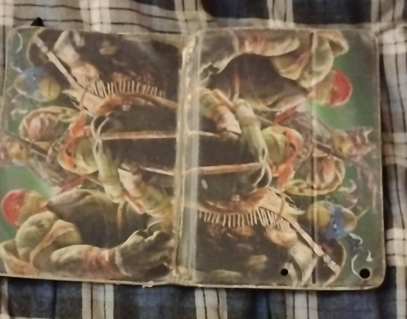 iPad with Teenage Mutant Ninja Turtles Case