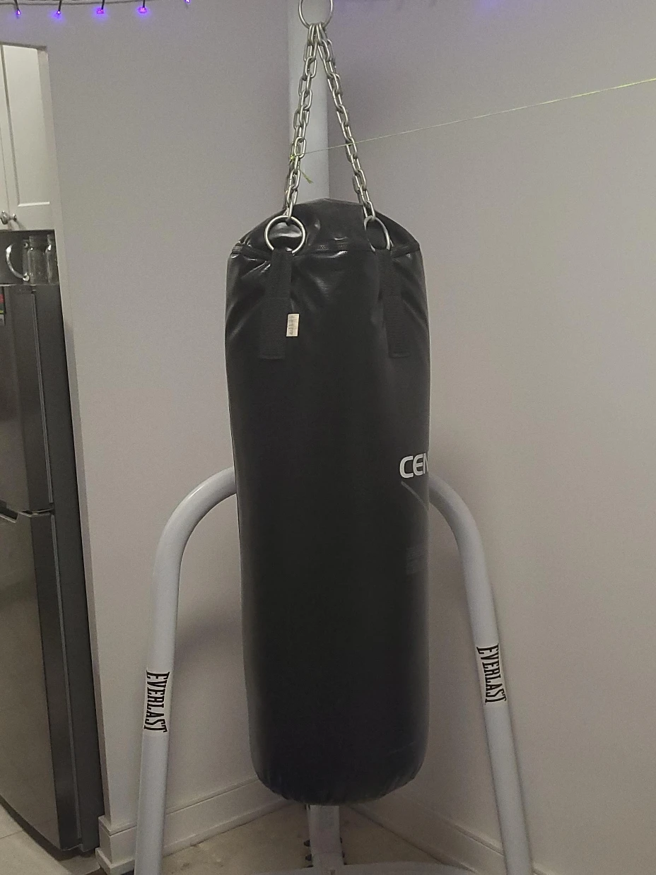 Everlast Punching Bag Stand with Century Punching Bag