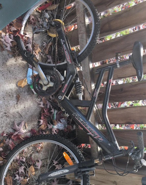 Raleigh 21 Speed Dual Suspension Mountain Bike