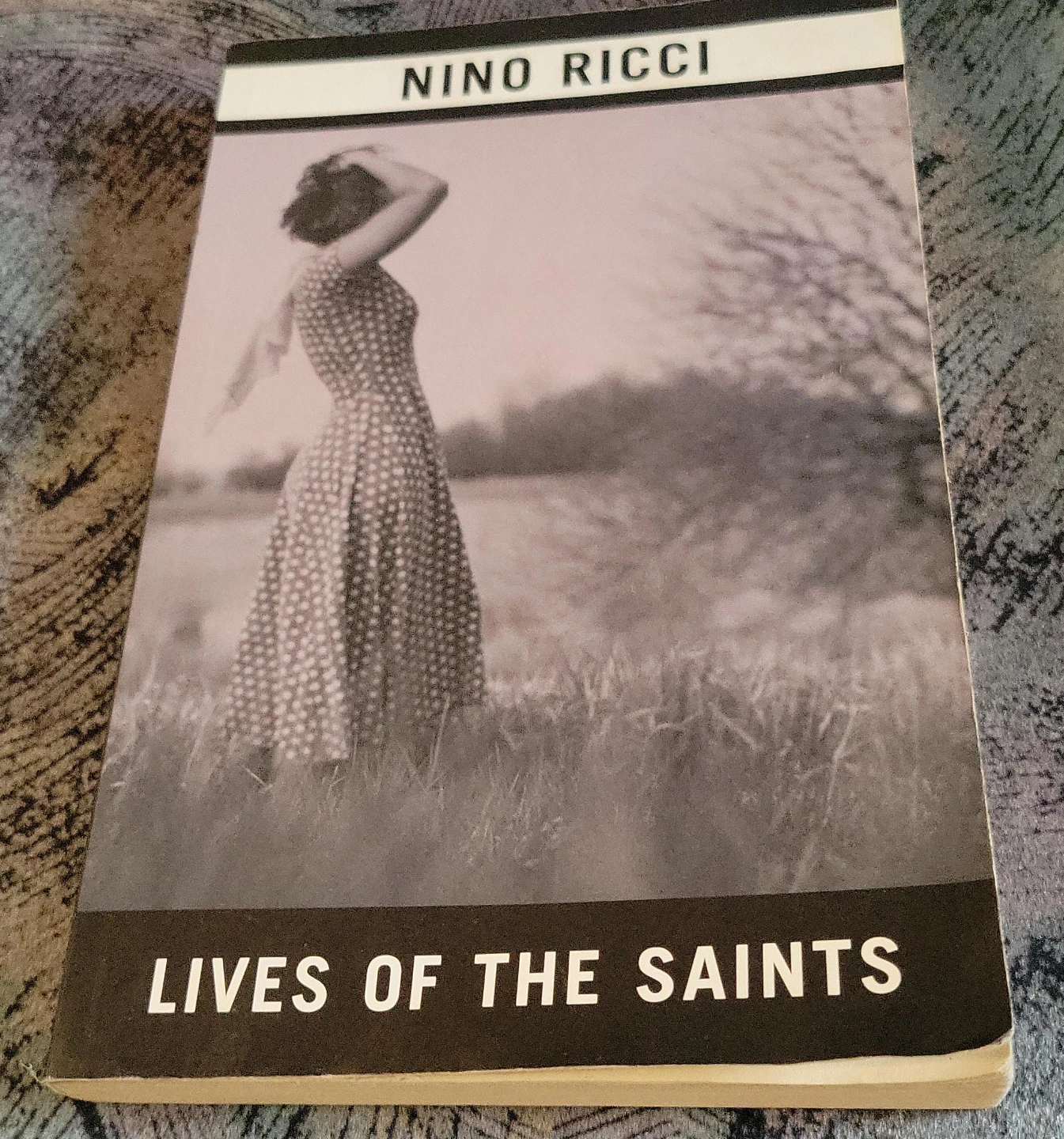 Lives of the Saints by Nino Ricci thumbnail