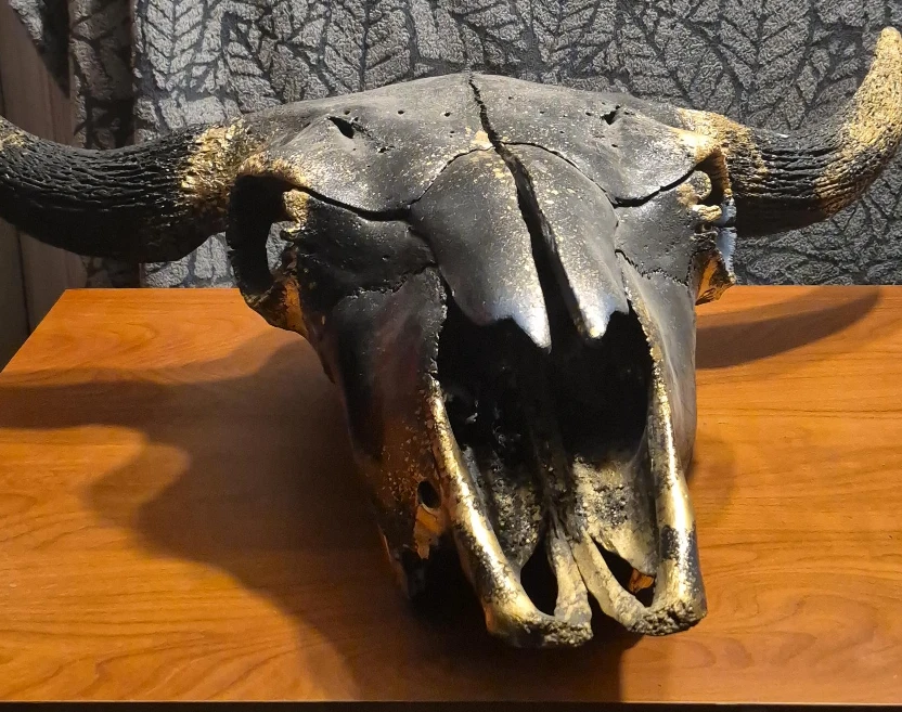 Decorative Bull Skull - Black & Gold