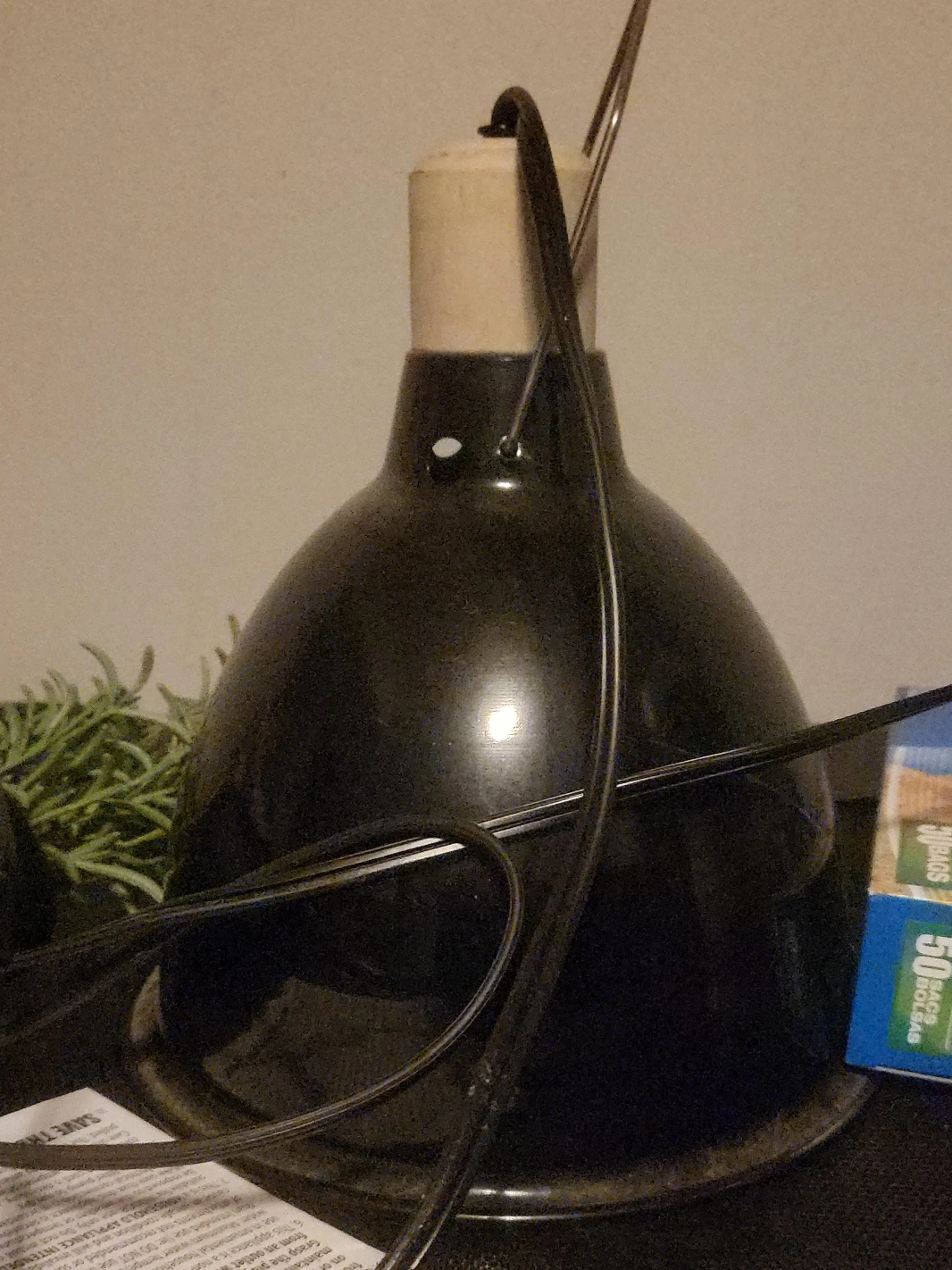 Reptile Black Lamp thumbnail