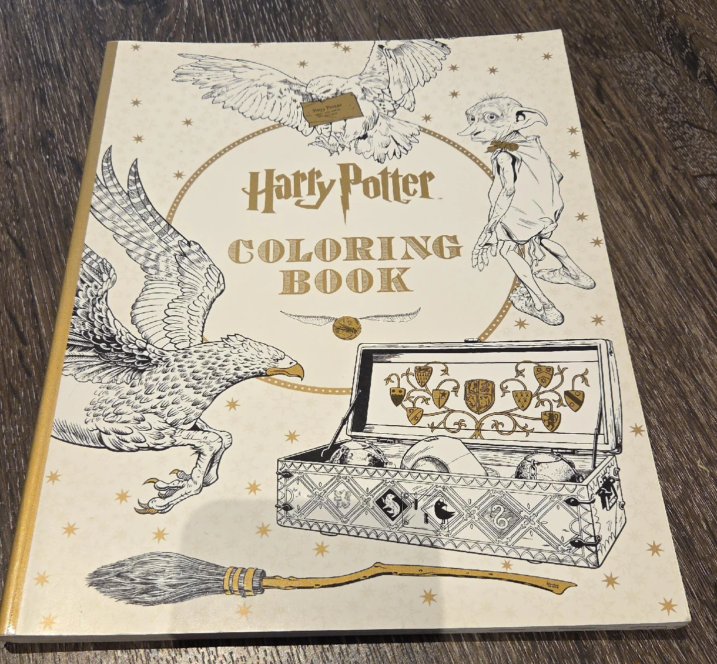 Harry Potter Coloring Book