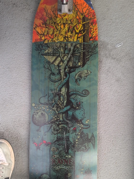 Rayne Longboard Skateboard