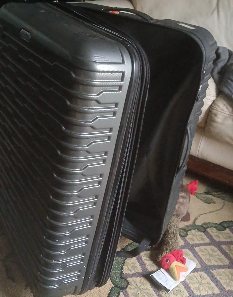 Grey Hardside Suitcase