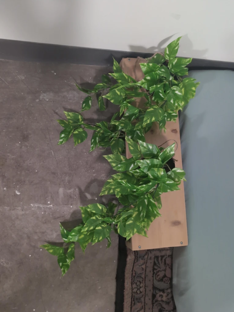 Artificial Pothos Plant