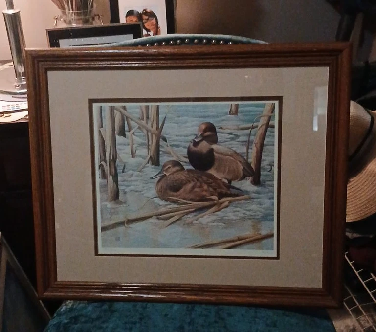 Framed Duck Print image indicator(1)