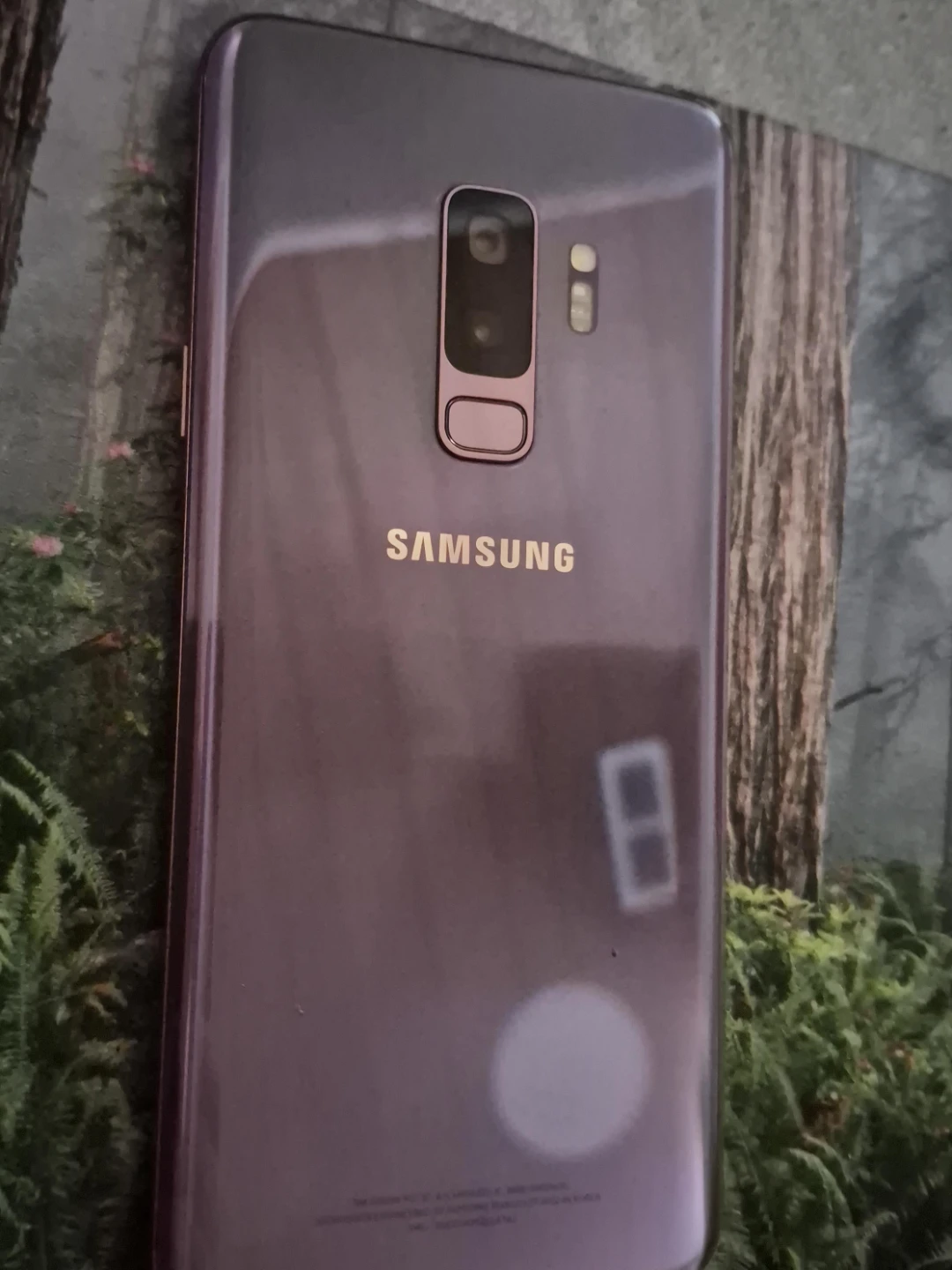 Samsung Galaxy S9+ 🥕 image indicator(1)