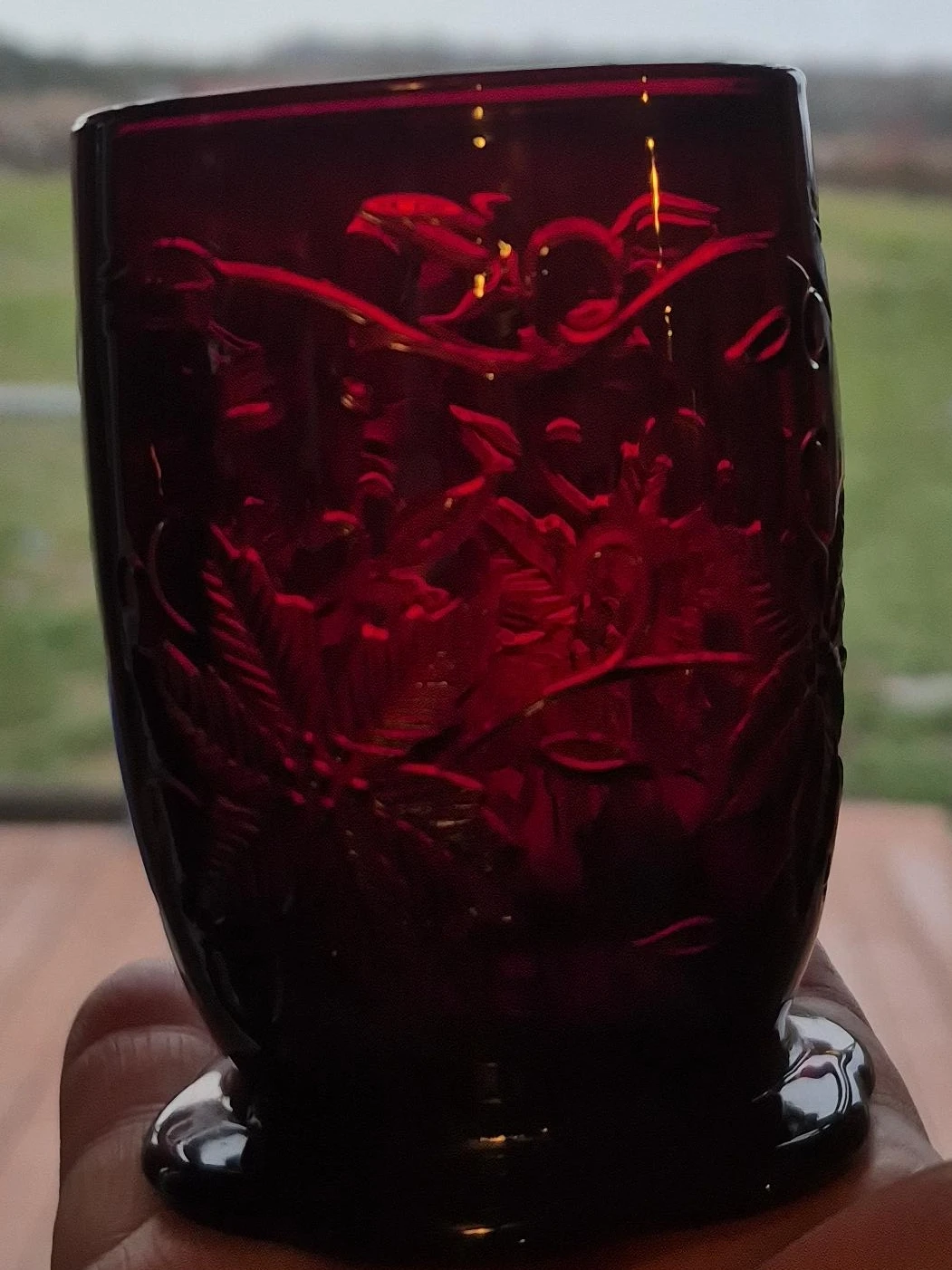 Red Embossed Glass X 2🥕